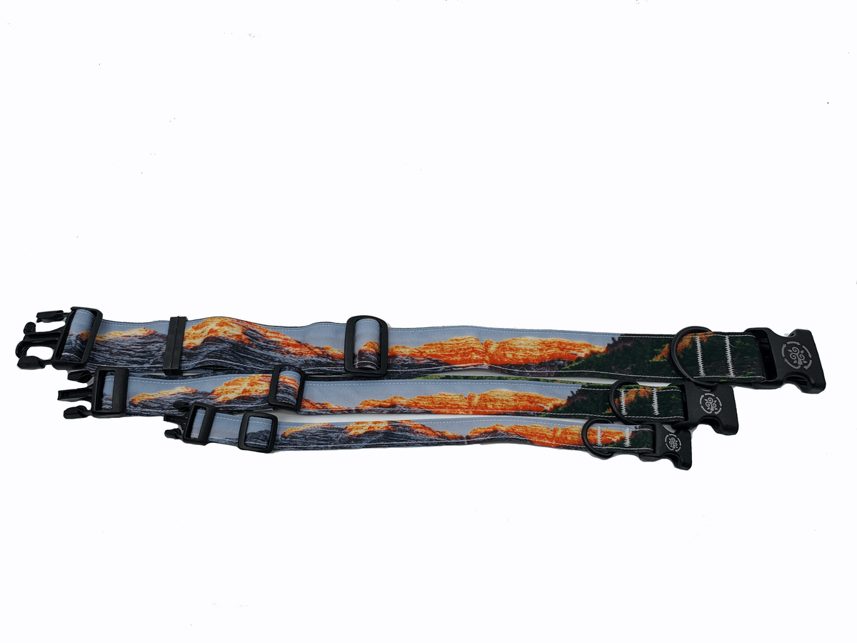 Circular Threads Pets Small Dog Collar Aspen Maroon Bells Fall Colorado Dog Collar