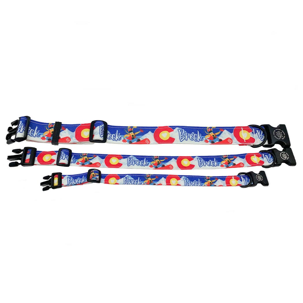 Circular Threads Pets Small Dog Collar Breckenridge Snowboarding Dog Collars