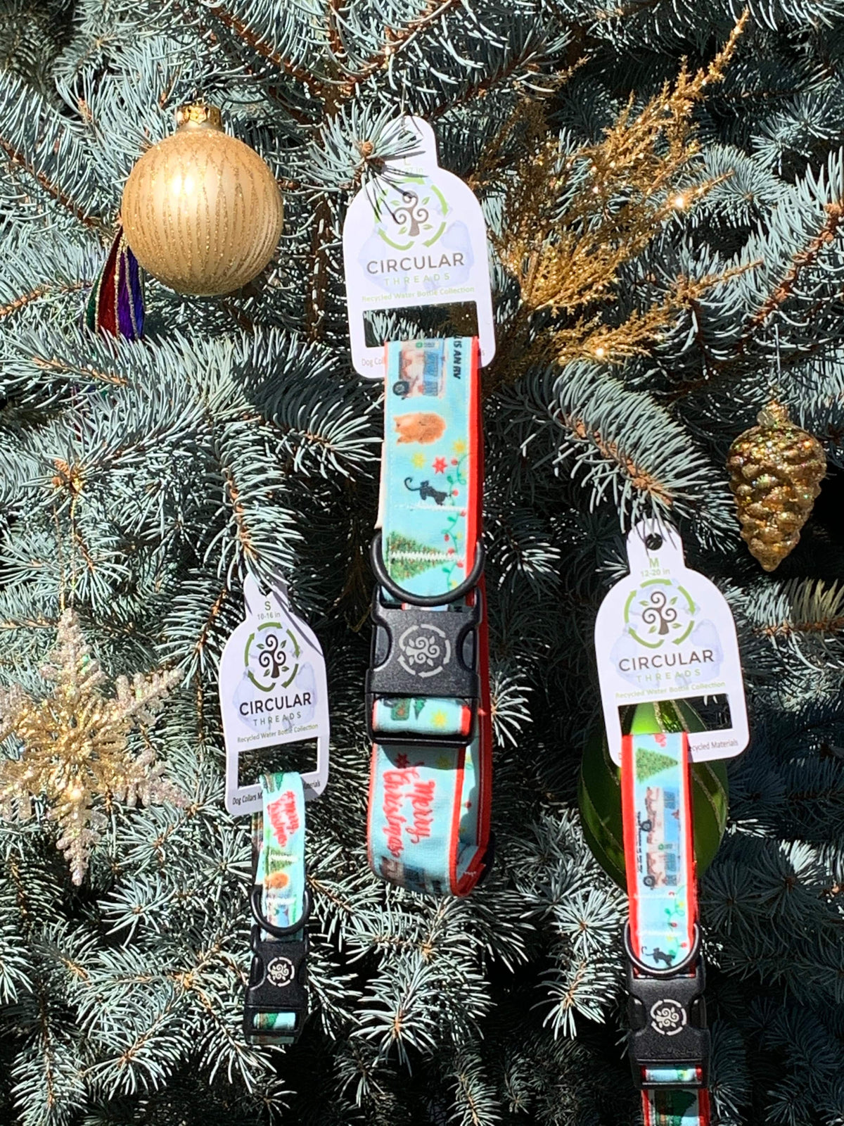 Circular Threads Pets Christmas Vacation Dog Collar