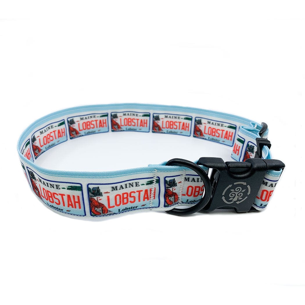 Circular Threads Pets Custom Vanity License Plate Dog Collar