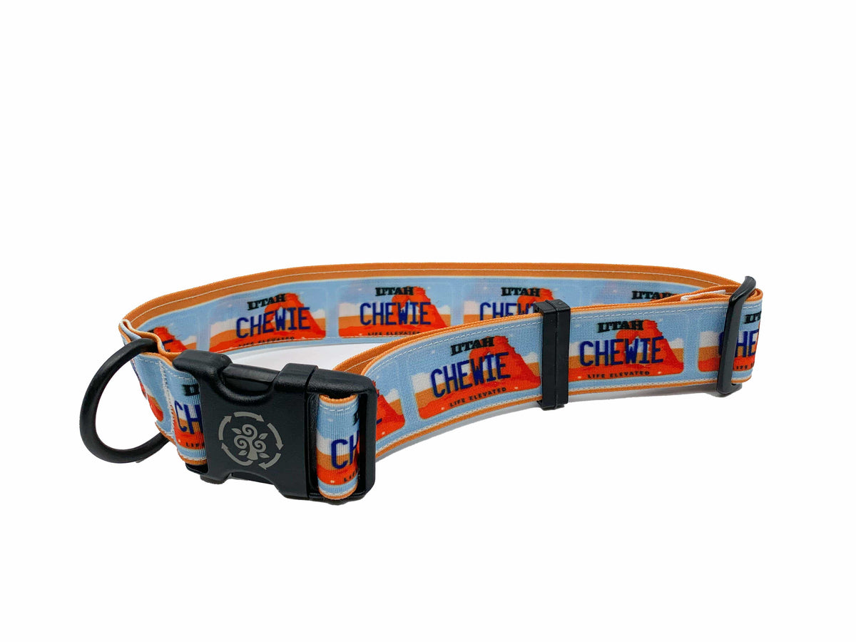 Circular Threads Pets Custom Vanity License Plate Dog Collar