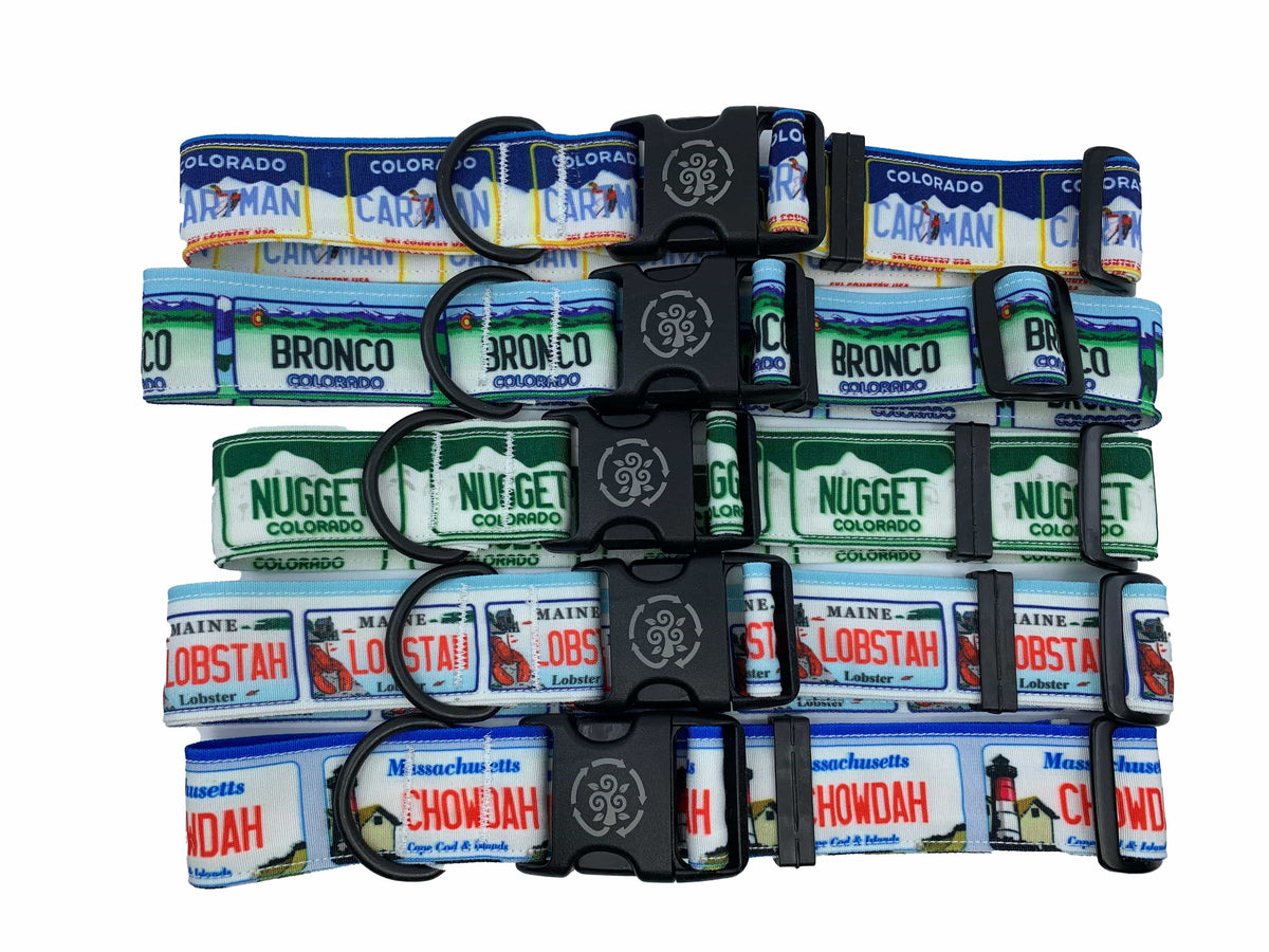 Circular Threads Pets Custom Vanity License Plate Dog Collar