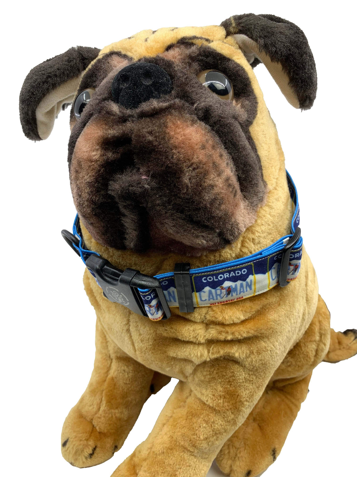 Circular Threads Pets Custom Vanity License Plate Dog Collar