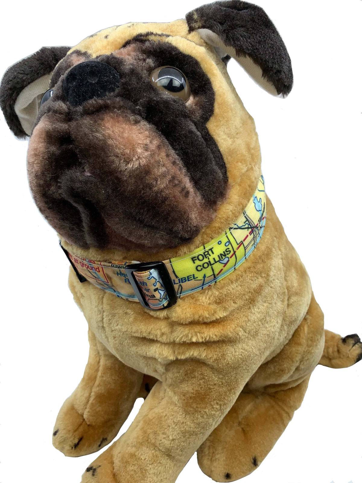 Circular Threads Pets Fort Collins, Colorado Aviation Sectional Chart Dog Collar