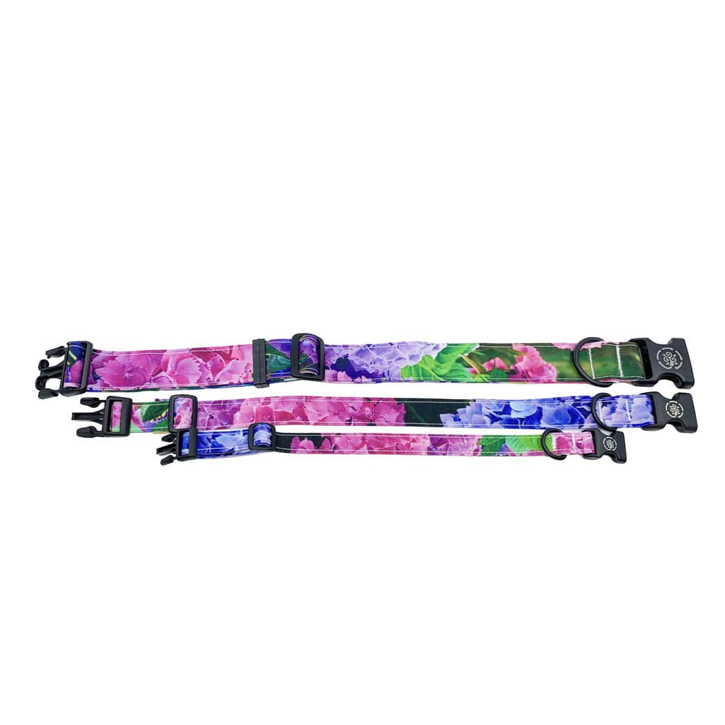 Circular Threads Pets Small Dog Collar Hydrangeas Dog Collar